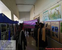 Biodivbersity Week Celebration (1)